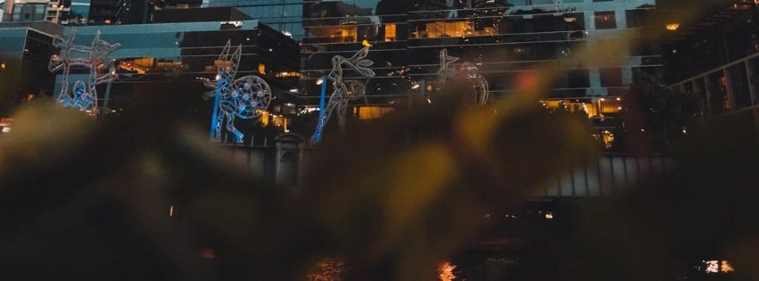 IMG_1847